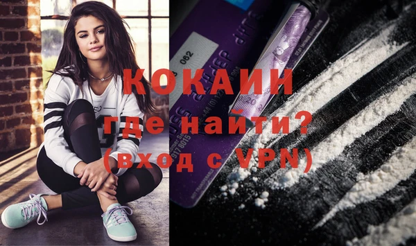дживик Белокуриха