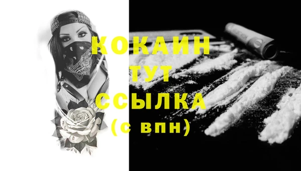 дживик Белокуриха