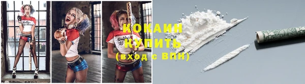дживик Белокуриха