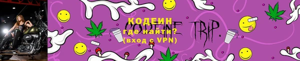 дживик Белокуриха