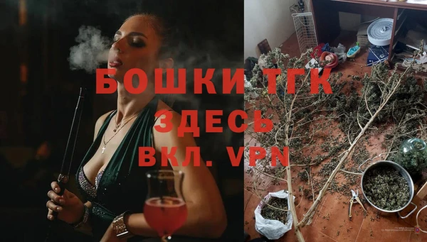 дживик Беломорск